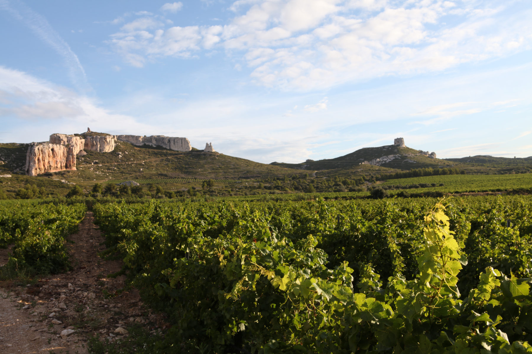 Château Calissanne - La Route des Vins de Provence