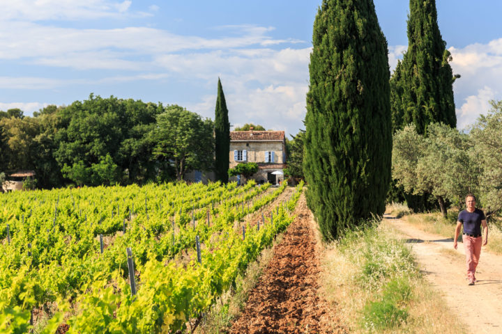 La Route des Vins de Provence